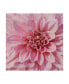 Фото #1 товара Alonzo Saunders Wall Flower VII Canvas Art - 15" x 20"