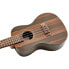 Kala KA-ZCT-C Concert Ukulele