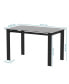 Modern Tempered Glass Dining Table, Simple Rectangular Metal Table Legs Living Room Kit