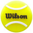 Фото #9 товара WILSON Roland Garros Tennis Dampeners 50 Units