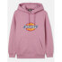 Фото #3 товара DICKIES Icon Logo Hoodie