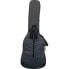 Ritter Bern Double Bass ANT