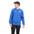 Fjällräven 1960 Logo Badge sweatshirt