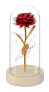 Фото #1 товара Ewige Rose im Glas