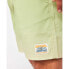 RIP CURL Alcion Volley Swimming Shorts