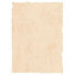Parchment paper Michel Beige A4 25 Pieces