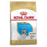 ROYAL CANIN French Bulldog Chicken Puppy 1kg Dog Food