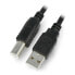 Фото #1 товара USB A - B cable 2.0 Lanberg - with a ferrite filter - black 1m