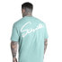 SIKSILK Script short sleeve T-shirt