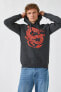 Фото #1 товара Ejderha Baskılı Kapşonlu Sweatshirt