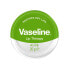 Фото #1 товара Vaseline Lip Therapy Aloe 20g