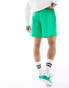 Фото #2 товара The North Face Class V Pathfinder logo shorts in green