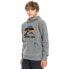 QUIKSILVER Big Logo Snow sweatshirt