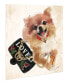 "Pomeranian" Unrameled Free Floating Tempered Glass Panel Graphic Dog Wall Art Print 20" x 20", 20" x 20" x 0.2"