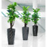 Plant pot Lechuza Grey Plastic (1 Unit)