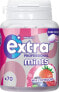 Фото #4 товара Pastillen EXTRA Professional Mints Waldfrucht, 70 St