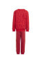 Фото #5 товара Спортивный костюм Adidas Desenli Красный для мужчин IN7291-LK DY 100 JOG