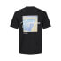 JACK & JONES Aruba short sleeve T-shirt