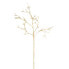 Фото #1 товара Искусственные цветы Sia Deco Goldene Rhipsalis