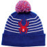 SPYDER Icebox Beanie