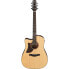 Фото #1 товара Ibanez AAD170CE-LGS Lefthand