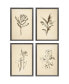 Vintage-Like Line Framed Art, Set of 4