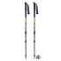 MASTERS Eiger Poles