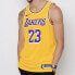 Баскетбольный Nike NBA AU LeBron James Connected Jersey AA7265-735