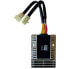 SGR 12V/25A Trifase CC 5 Wires 4179032 Regulator