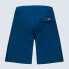 OAKLEY APPAREL Solid Crest 1 Boardshorts 19´´