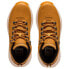 HELLY HANSEN Forest Evo trainers