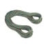 MAMMUT Crag Workhorse Dry 9.9 mm Rope