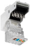 Wentronic Keystone Module RJ45 CAT 5e - UTP - 100 MHz - Flat - White - RJ-45 - IDC - Female - Cat5e