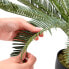 Фото #4 товара Kunstpflanze CYCAS