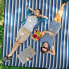 Фото #2 товара Picknickdecke mit Streifen blau