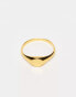 Фото #2 товара The Status Syndicate gold plated signet ring