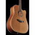 Takamine GD20CE-N