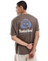 Timberland large tree logo backprint t-shirt in brown