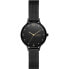 Женские часы Skagen ANITA LILLE (Ø 30 mm)