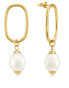 Charming gold plated earrings with pearls VAAJDE201461G
