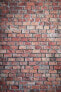 Lastolite Tło Urban 1.5x2.1m Red/Distressed White Brick - фото #9