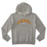 DC Shoes Orientation Ph hoodie