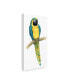Фото #2 товара Grace Popp Teal Macaw II Canvas Art - 37" x 49"