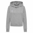 Фото #1 товара HUMMEL Go 2.0 hoodie