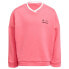 Фото #1 товара ADIDAS LG DY CPO sweatshirt