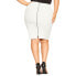 ფოტო #2 პროდუქტის Plus Size Riley Skirt