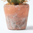 Фото #9 товара Искусственные цветы Homescapes Маленький искусственный кактус с оранжевыми шипами, в горшке из терракоты, 15 см.