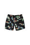 Mixed Volley Boardshorts Çok Renkli Mayo Şort