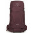 Фото #1 товара Походный рюкзак OSPREY Kyte Пурпурный 38 L