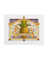 Фото #1 товара David Galchutt Welcome Pineapple Canvas Art - 15.5" x 21"